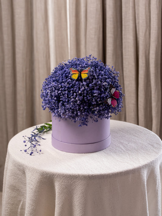 Butterfly Kisses Box Bouquet by BloomsOnly - Pune's #1 Flower delivery website