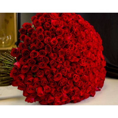 Send 300 Red Roses Bouquet in Pune