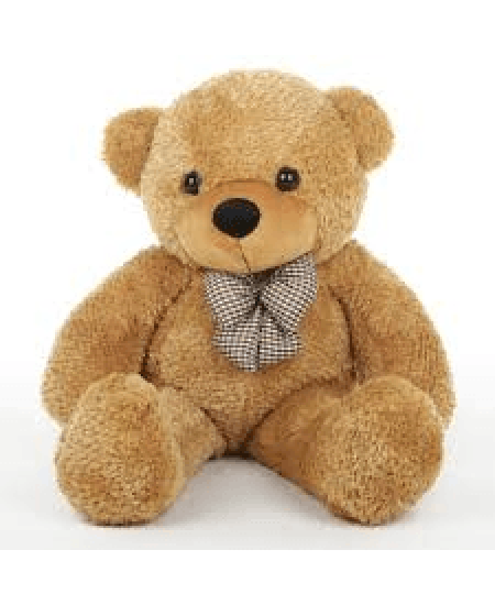 Beautiful Teddy Bear