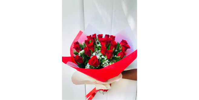 18 Red Pretty Roses