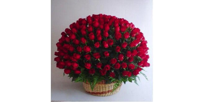 220 Red Basket Love