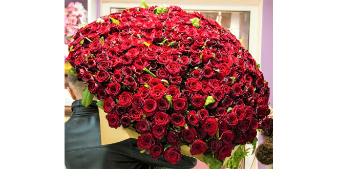 Enchanted Love(1000 Red Roses)