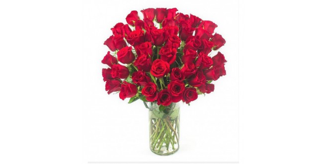 My Love is for You - 40 Premium Red Roses Vase Bouquet