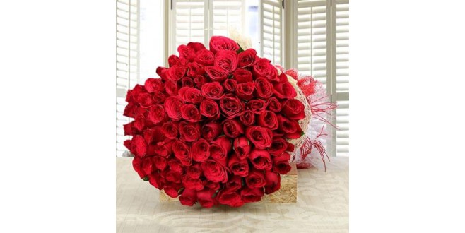 Bunch of 700 Lovely Red Roses 