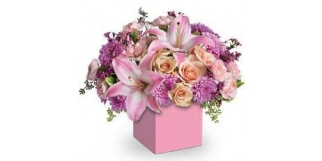 Beautiful Flowers in Box