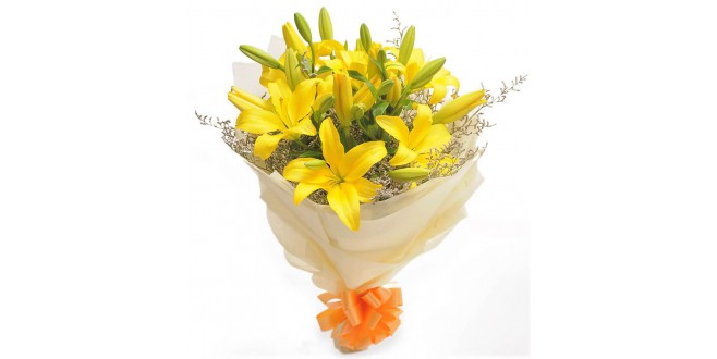 Yellow Asiatic Lilies