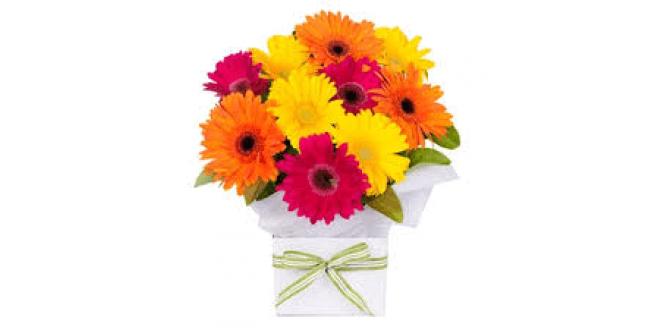 Big 40 Gerbera Box