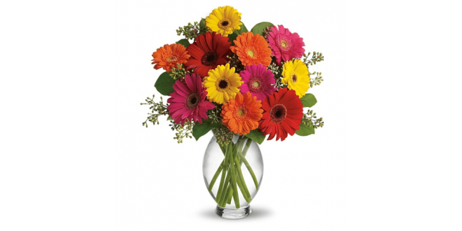 Gerberas Flowers Arrangements