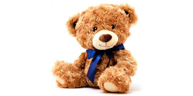 Cute Brown Teddy Bear