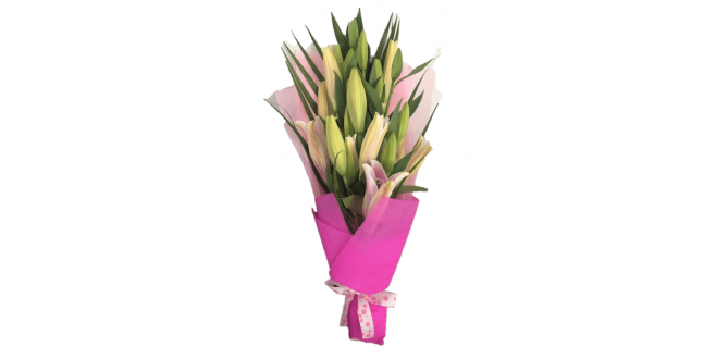 Pretty Pink Lily - Valentine's Special