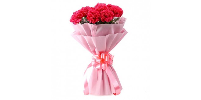 RED CARNATIONS FLOWERS