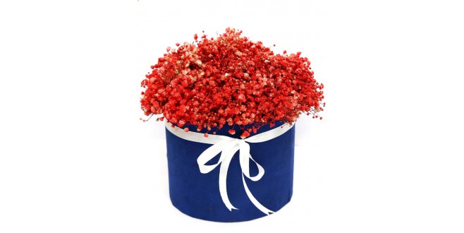 Red Gypso Box Bouquet