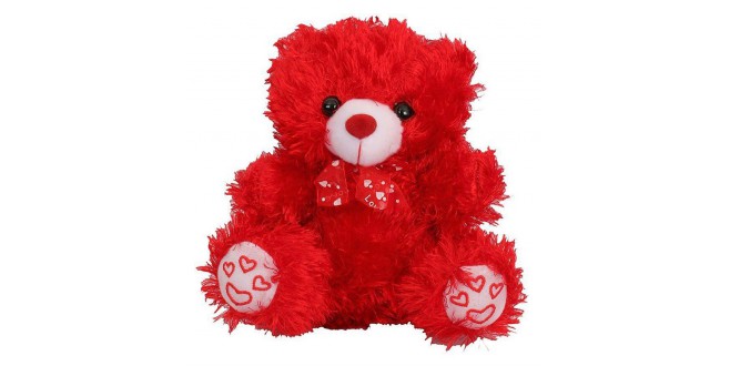 Small Red Teddy