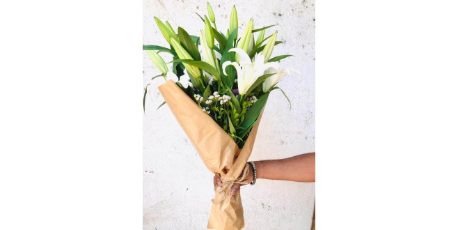 White Beauty - White Oriental Lily