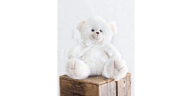 White Teddy Bear