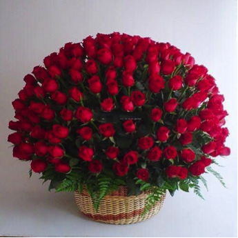 220 Red Basket Love