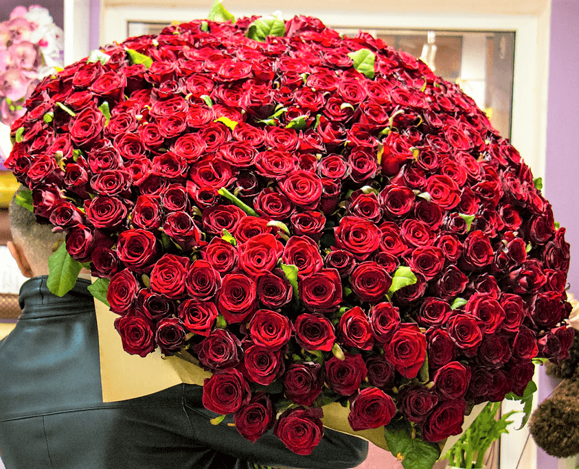 Enchanted Love(1000 Red Roses)