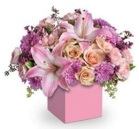 Beautiful Flowers in Box