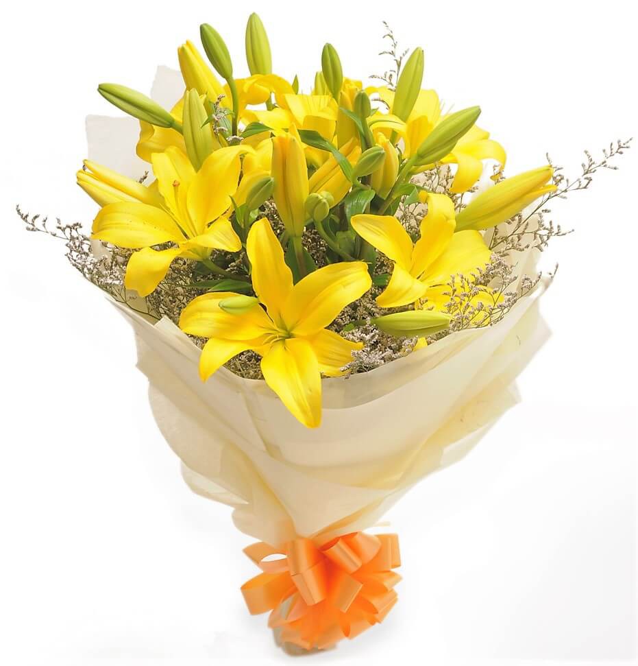 Yellow Asiatic Lilies