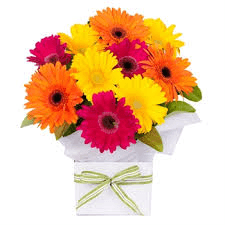 Big 40 Gerbera Box