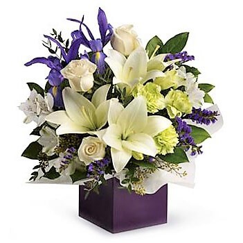 Graceful Beauty Floral Arrangement