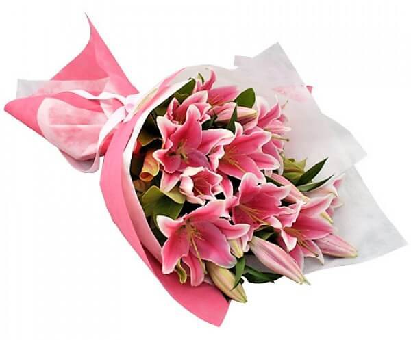 Pink Oriental Lilies