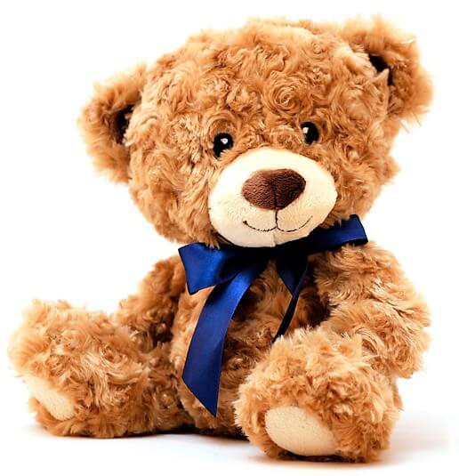 Cute Brown Teddy Bear