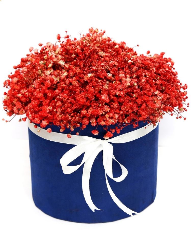 Red Gypso Box Bouquet