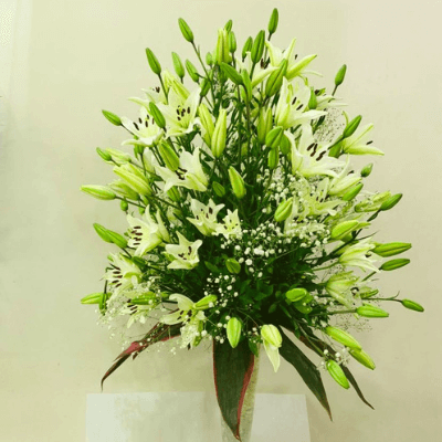 White Asiatic Lilies Arrangement with Vase