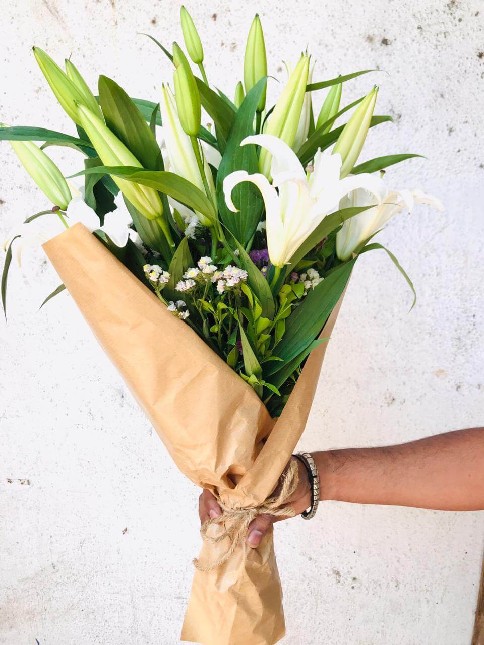 White Beauty - White Oriental Lily