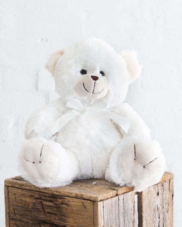 White Teddy Bear