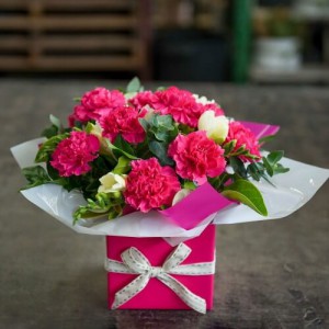 25 Pink Carnation Box Bouquet