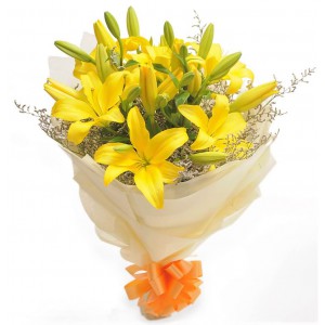 Yellow Asiatic Lilies