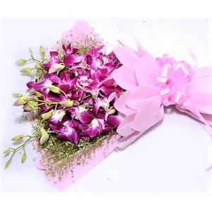 Purple Orchid Beauty