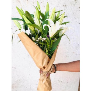 White Beauty - White Oriental Lily