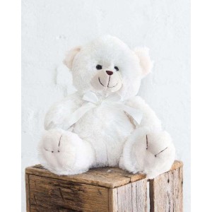 White Teddy Bear