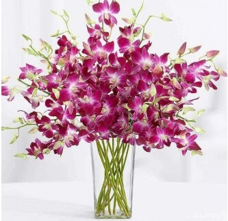 Orchids with vase
