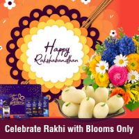 Unique Rakhi Gift Ideas for Your Sister