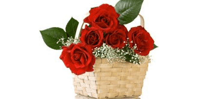 Lovely Rose Basket