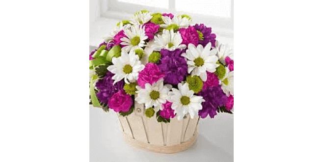 daisies flower arrangemet