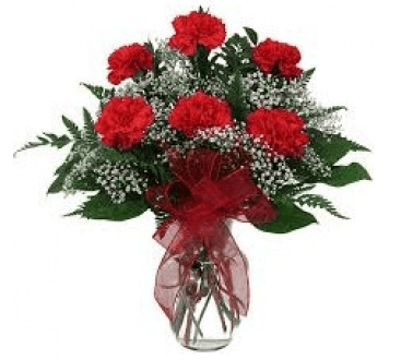 Red Carnations