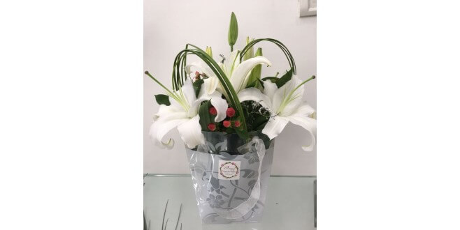 Luxurious Lillies arrangement