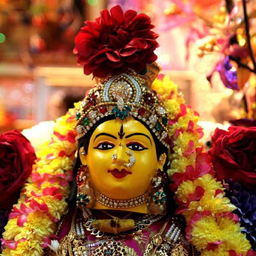 Do you know about Nine flowers of Navratri?