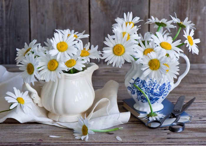 daisies bouquet