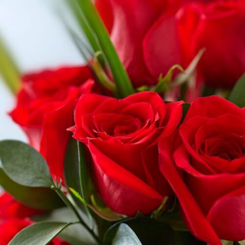 Red Roses Bouquets to Make Them Blush!