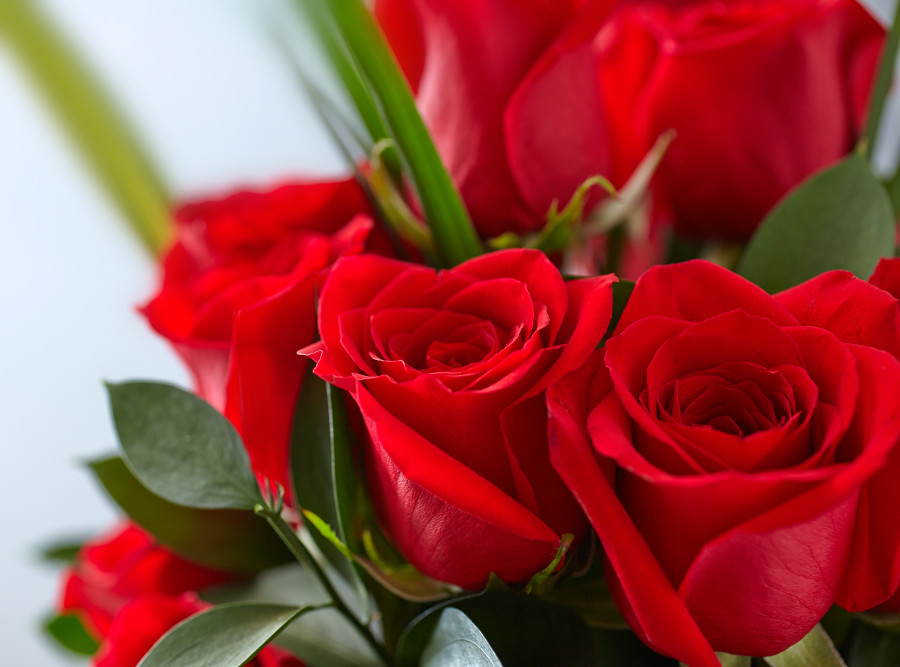 Red Roses Bouquets to Make Them Blush! | Blooms Only Pune ...