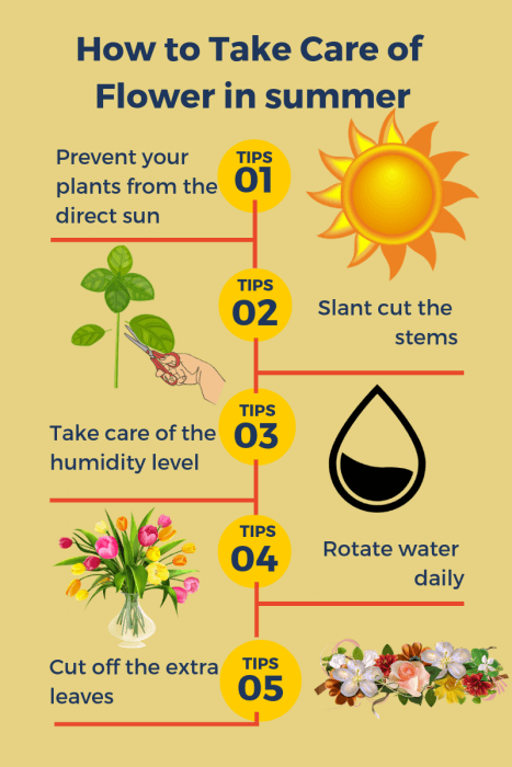 How to Take Care of Flower in summer