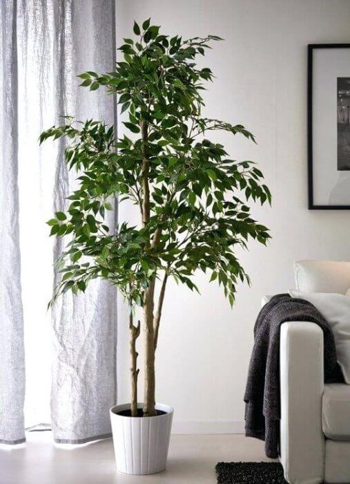 artificial indoor plants