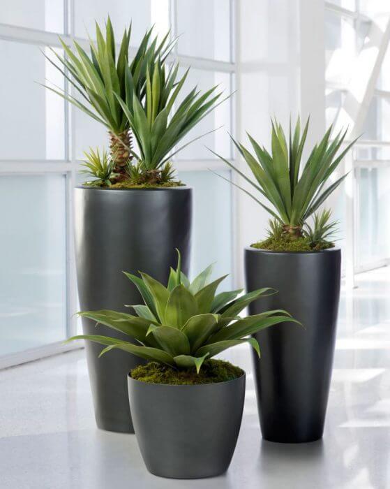 artificial plants pune