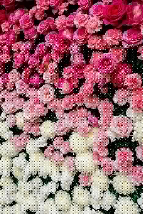 floral backdrop